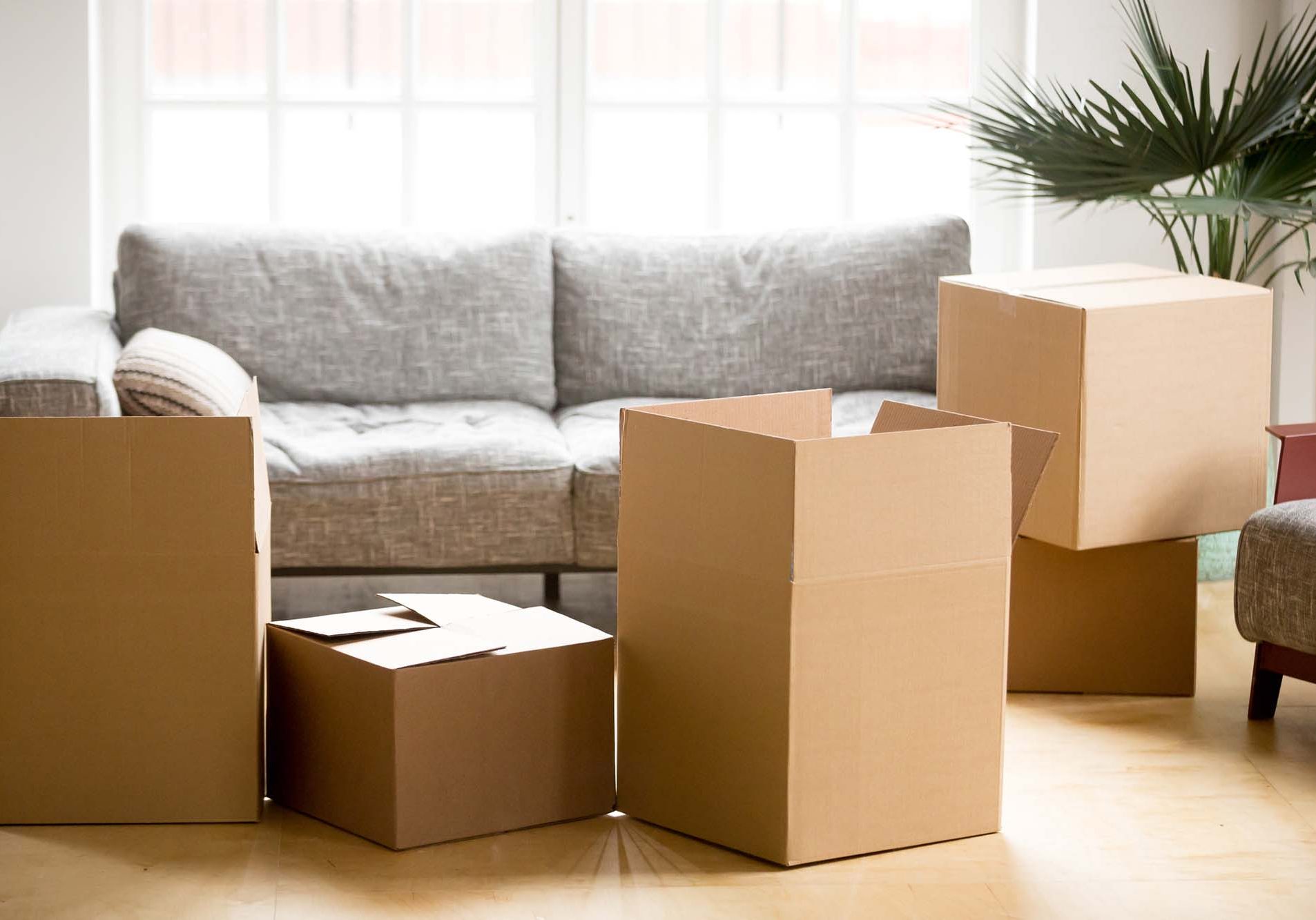 Cardboard carton boxes in living room, packing and moving concep. Cardboard carton boxes with personal belongings household stuff in modern living room, many packed containers on moving day in new home, relocation or house removals delivery service concept In Newtownabbey